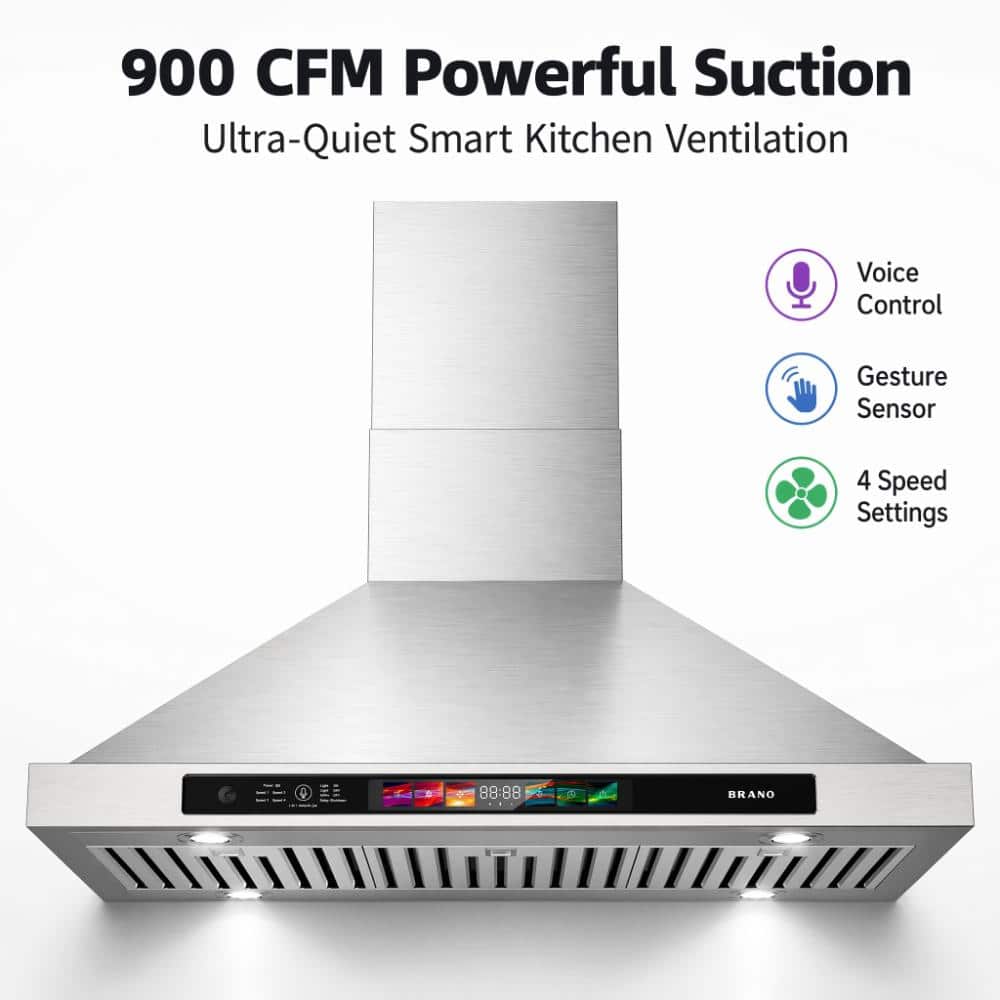 30 in. Wall Mount Range Hood with Voice and Gesture Control in Stainless Steel Ducted/Ductless Convertible price history on PriceWatchPro