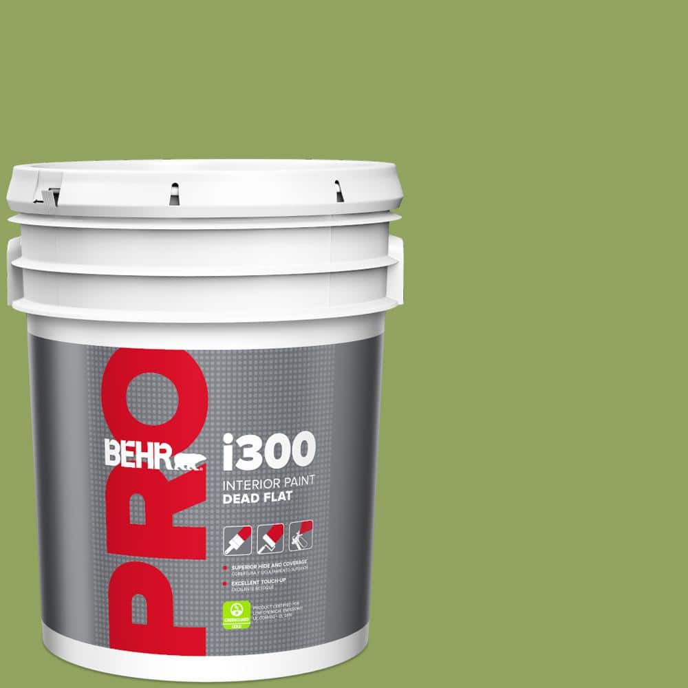 5 gal. #HDC-MD-15 Zesty Apple Dead Flat Interior Paint price history on PriceWatchPro