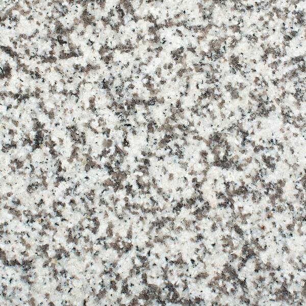 Rain Forest 18 in. x 18 in. Orient Grey Granite Floor and Wall Tile (13.5 sq. Ft. / case)