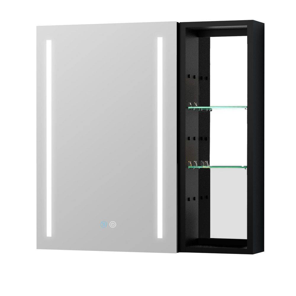 30 in. W x 30 in. H Black Recessed/Surface Mount Medicine with