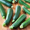 BonniePlants11.8oz.Squash-ZucchiniBlackBeauty4302-TheHomeDepot