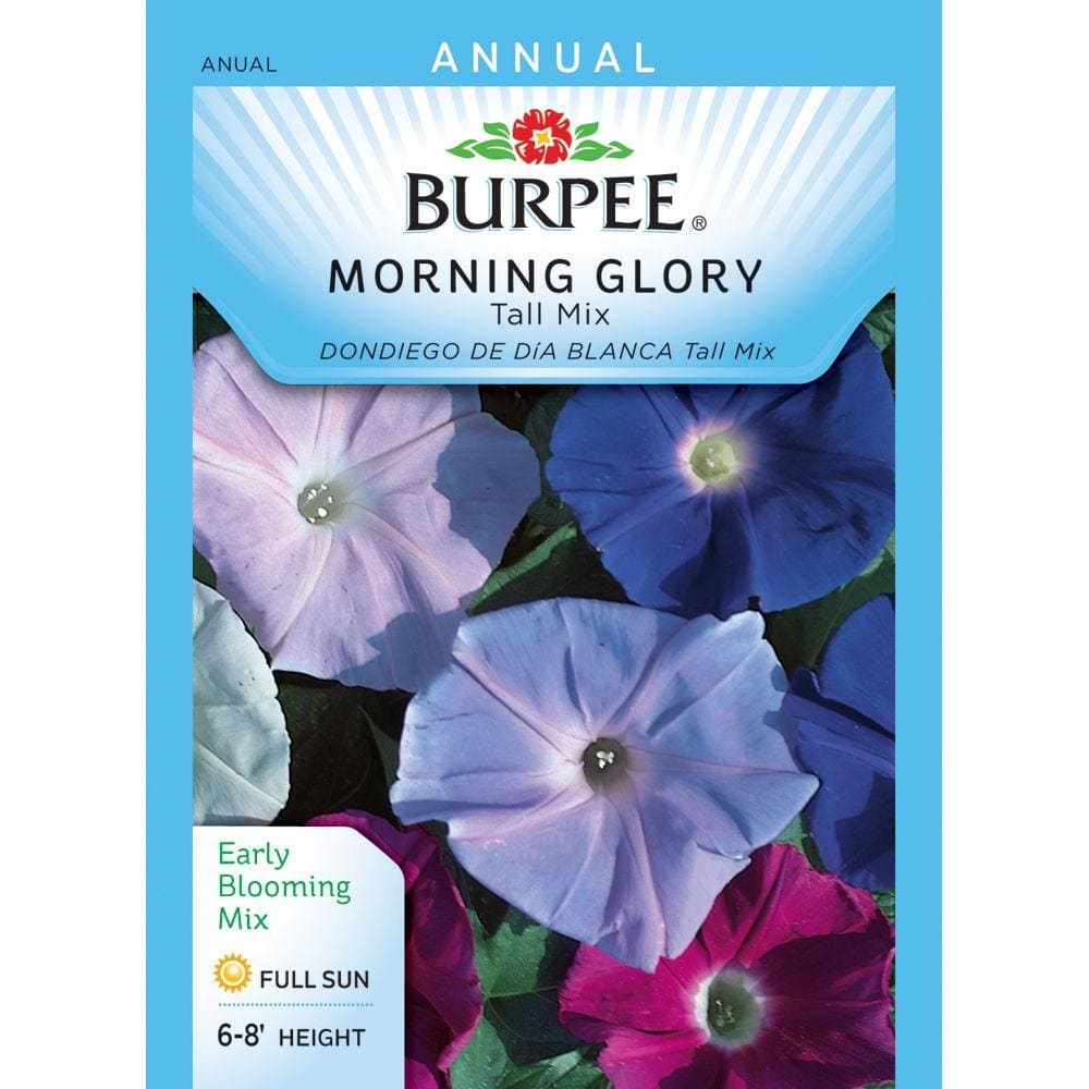 Burpee Morning Glory Tall Mix Seed 31393 - The Home Depot