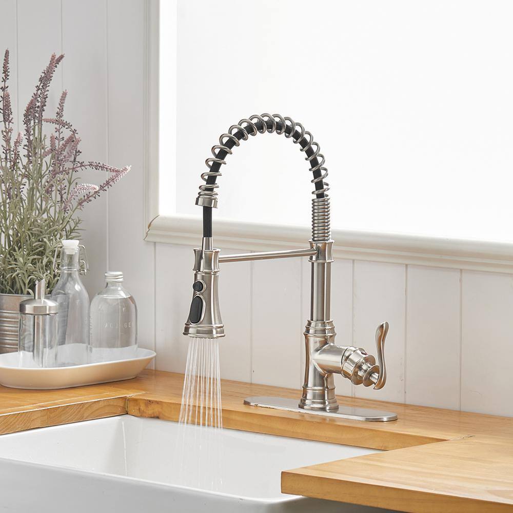 Brushed Nickel Single-Handle Pull-Down Sprayer Kitchen Faucet