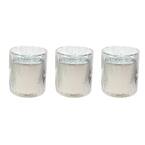 7 oz. Palm Print Citronella Glass Candle (3-Pack)