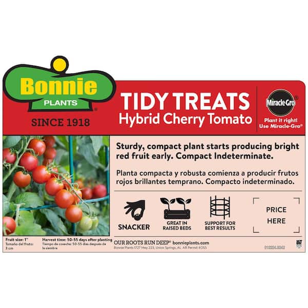19 oz. Tidy Treats Tomato Plant