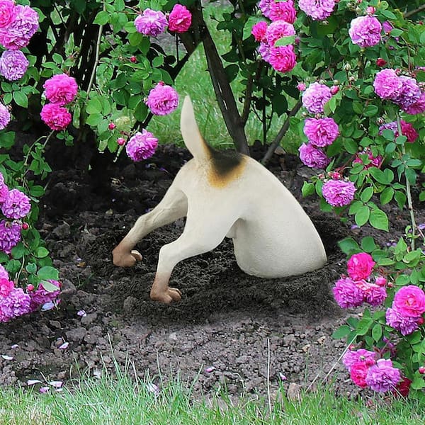 Reviews for Design Toscano 11 in. H Terrence The GardenTerrier