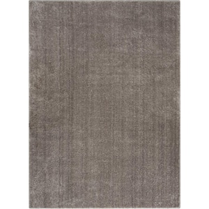 Rainbow Chroma Glam Solid Light Grey 5 ft. 3 in. x 7 ft. 3 in. Multi-Textured Shimmer Pile Shag Area Rug