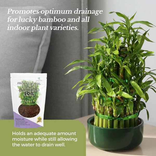 best tomato plant fertilizer Tomato Fertilizer 40 lbs main image 1