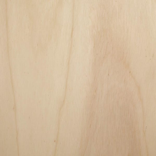 12mm Sande Plywood 1 2 In Category X 4 Ft X 8 Ft Actual 0 472 In X 48 In X 96 In The Home Depot