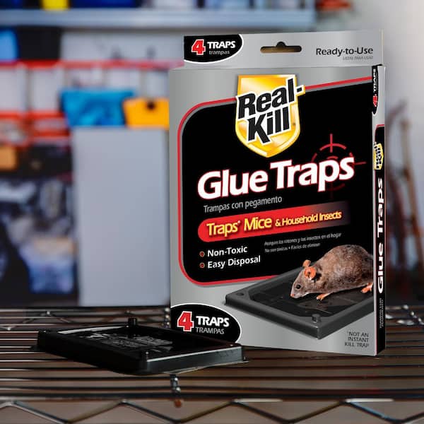 lot of 8 GLUE MOUSE TRAPS Fast Disposable Rodent Control NO CHEM