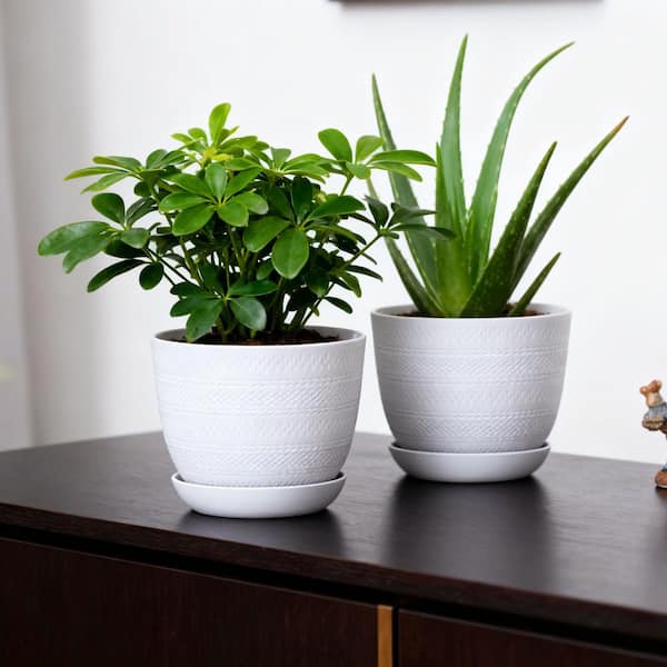 Vigoro Brighton Small White Resin Planter with Saucer (8 in. W x