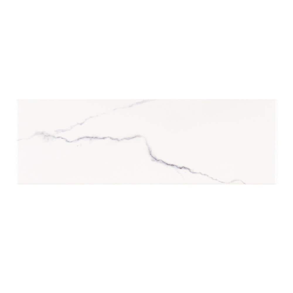 Take Home Tile Sample - Glossy Ocean Carrara White 4 in. x 6 in. Glossy Ceramic price history on PriceWatchPro
