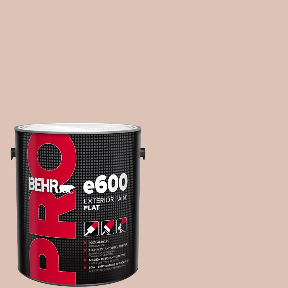 1 gal. #PPU2-07 Coral Stone Flat Paint product image for price tracking