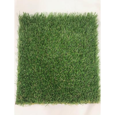 TruGrass Clover Fescue 12 ft. Wide x Cut to Length Artificial Grass