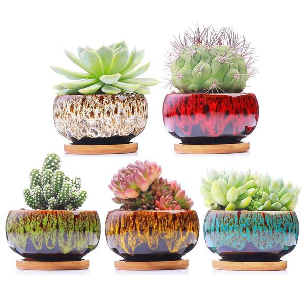2.8 in. Multicolor Indoor Artificial Plant Ceramic Succulent