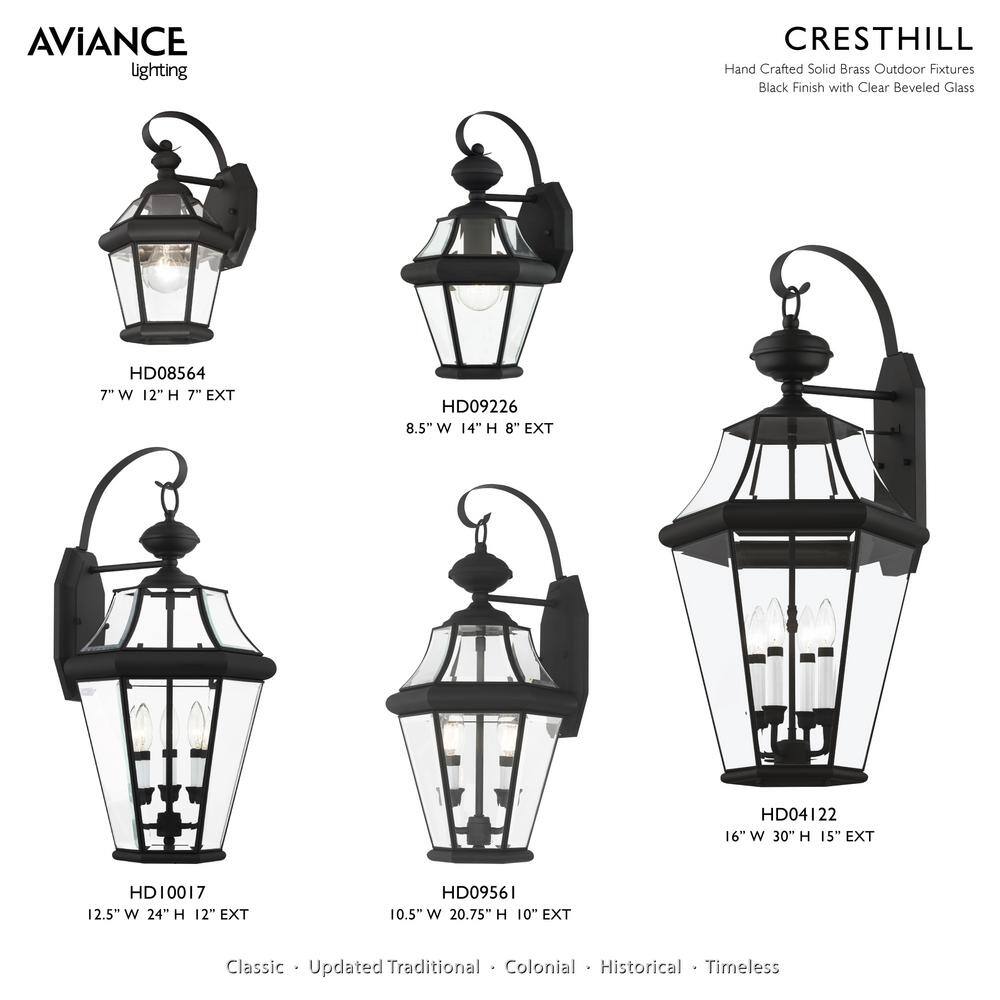 Georgetown Classic Black Brass 3-Light Outdoor Pendant with Clear Beveled Glass
