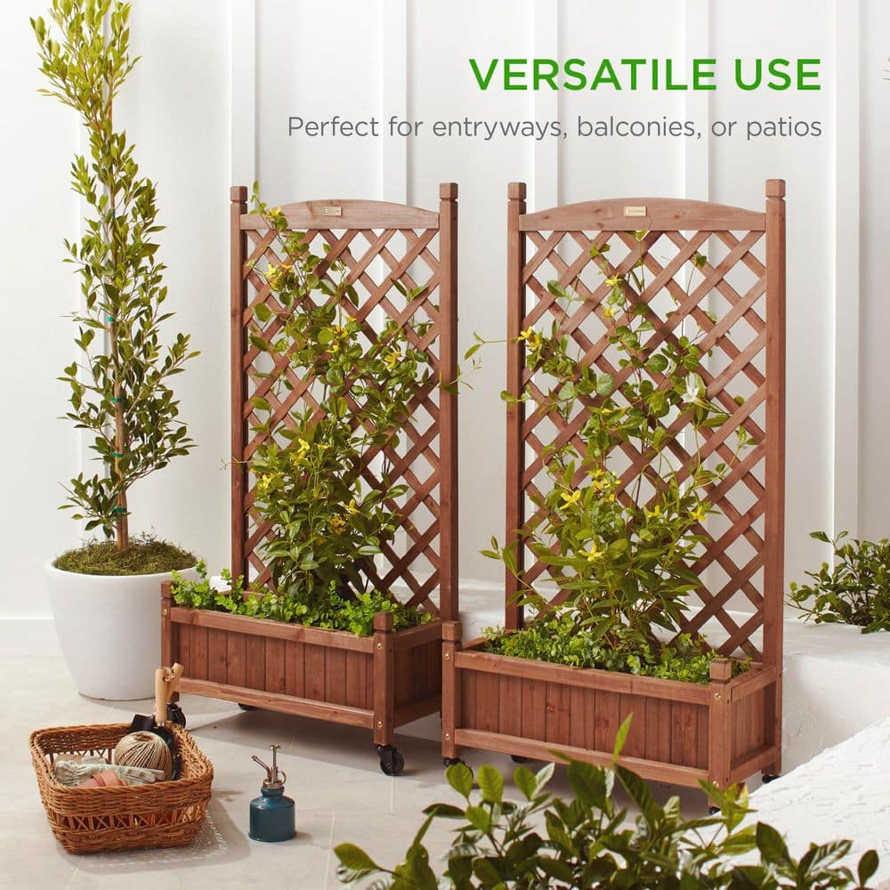 Set of 2 Walnut Fir Wood Planter Box with Trellis