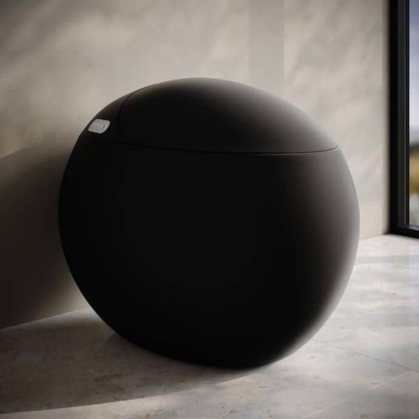 Plaisir Smart 1-Piece 1.28 GPF Single Flush Toilet in Matte Black