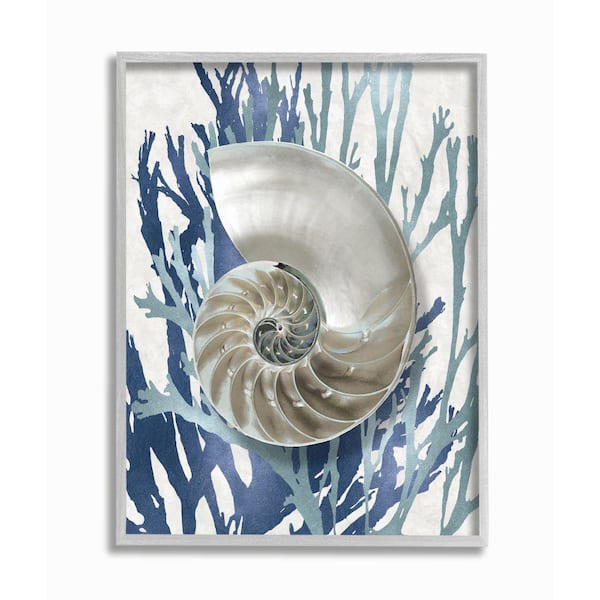 Stupell Industries "Shell Coral Beach Blue Design" by Caroline Kelly Framed Nature Wall Art Print 16 in. x 20 in.