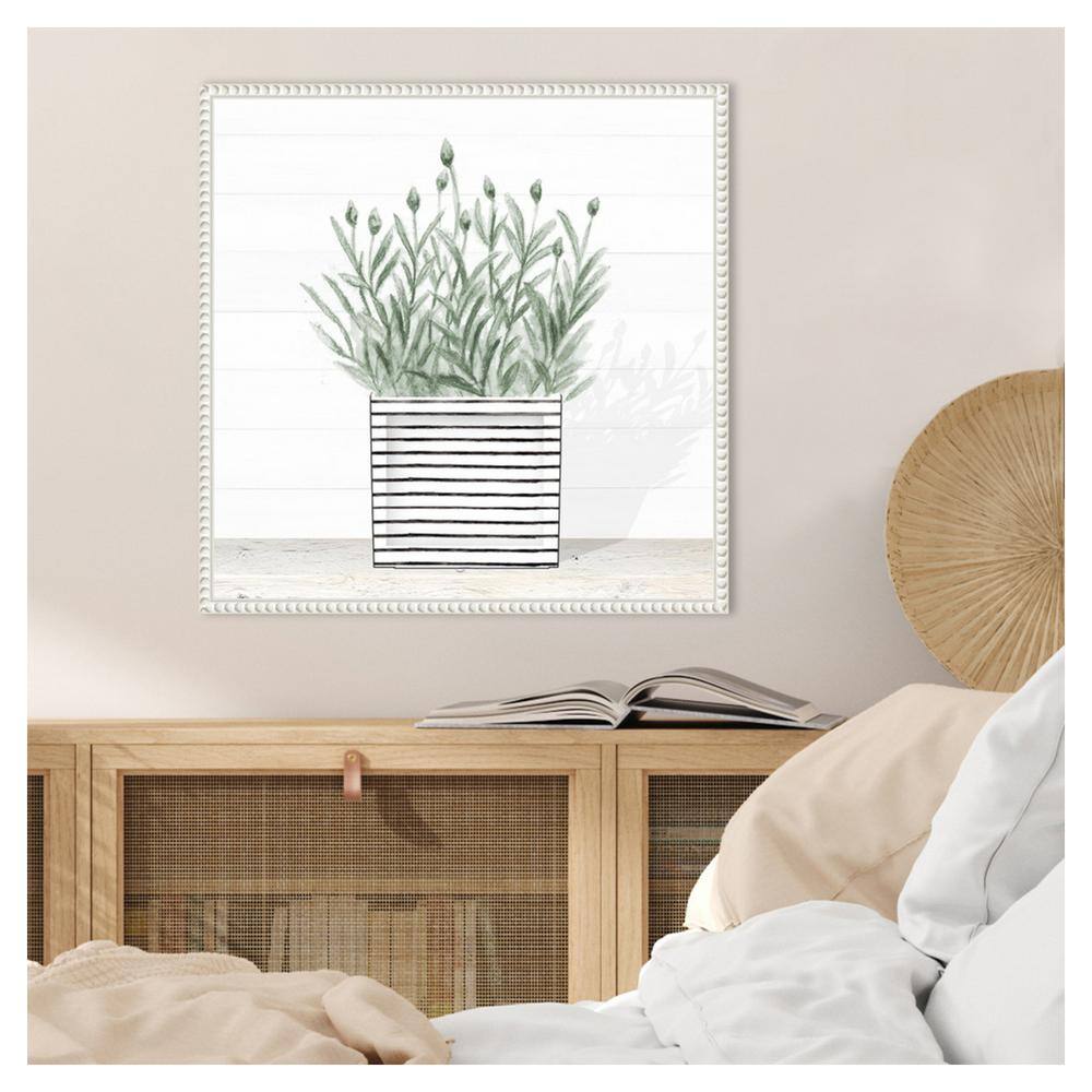 Lavender Blossom in Striped Pot Canvas Wall Art with White Frame