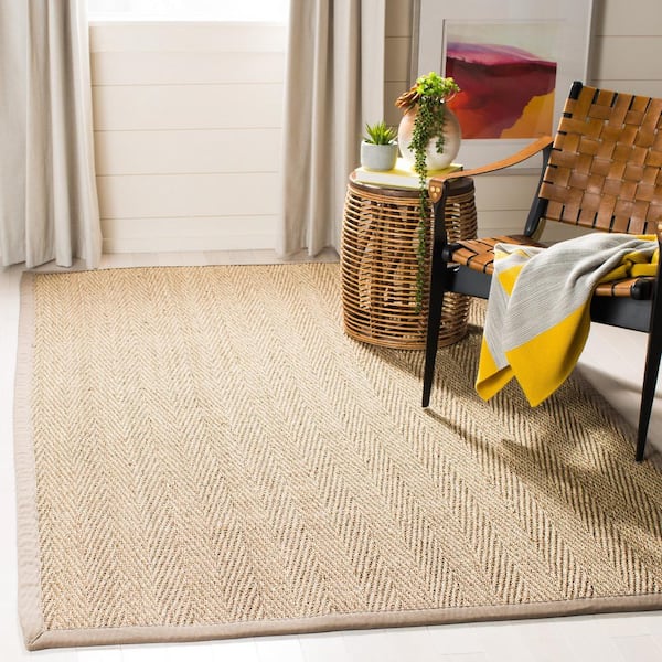 Natural Fiber Beige/Gray Doormat 3 ft. x 4 ft. Border Area Rug