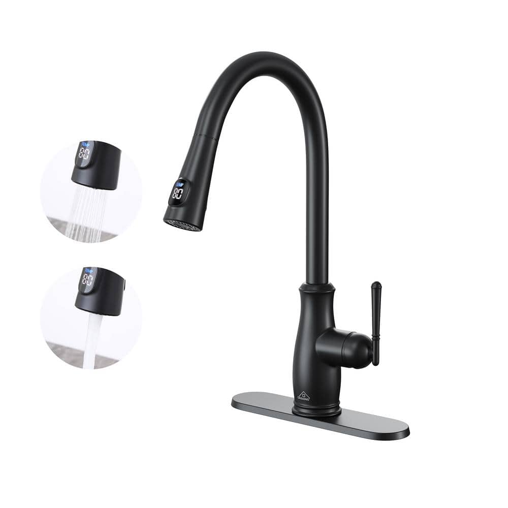 CASAINC Single Handle Pull Down Sprayer Kitchen Faucet with Intelligent Temperature Display in Matte Black