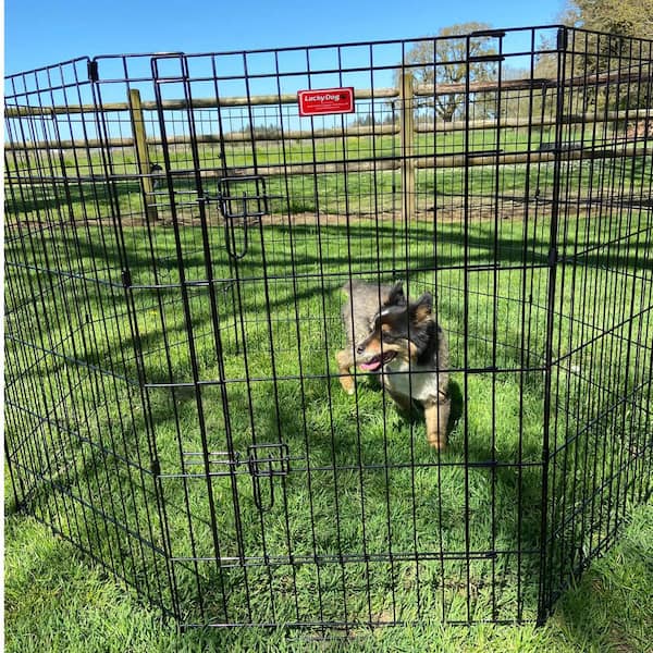 Lucky Dog 36 in. High Heavy Duty Dog Exercise Pen with