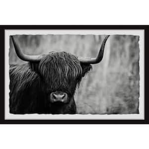 "Angus the Highland Cow" by Marmont Hill Framed Animal Art Print 16 in. x 24 in.