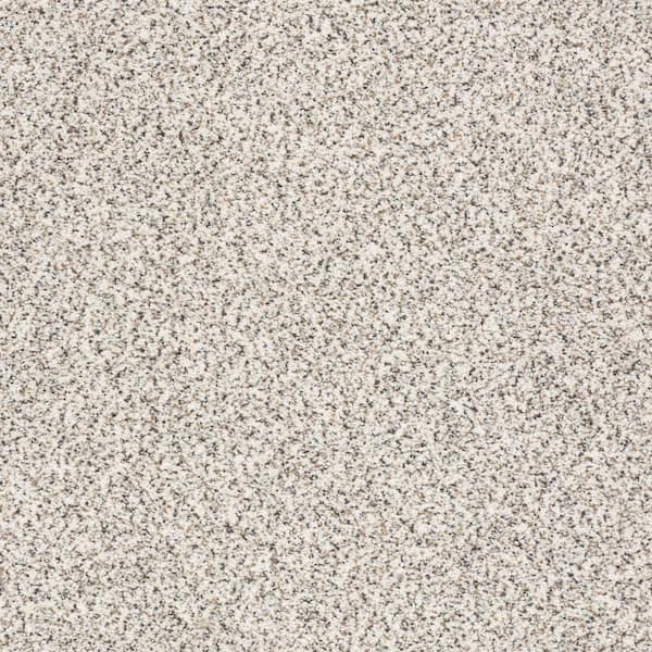 Lifeproof Karma I - Realm - Beige 41.2 oz. Nylon Texture Installed Carpet