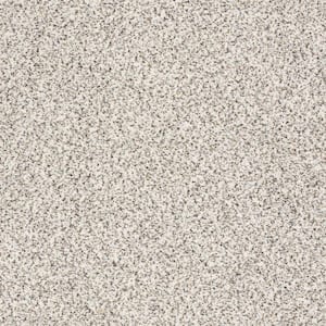 Karma II - Realm - Beige 50.5 oz. Nylon Texture Installed Carpet