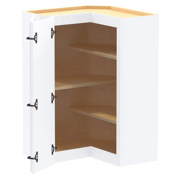 Home Decorators Collection Grayson 24 in. W x 12 in. D x 36 in. H Assembled Plywood Corner Wall Kitchen Cabinet in Pacific White with Shelves