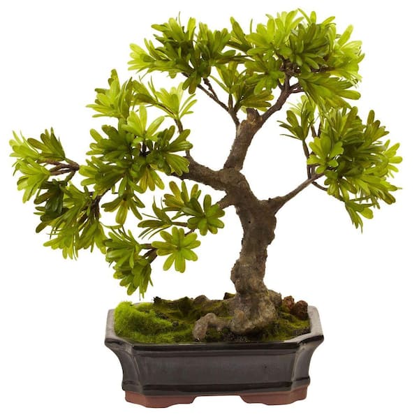 Nearly Natural Artificial Podocarpus with Mossed Bonsai Planter