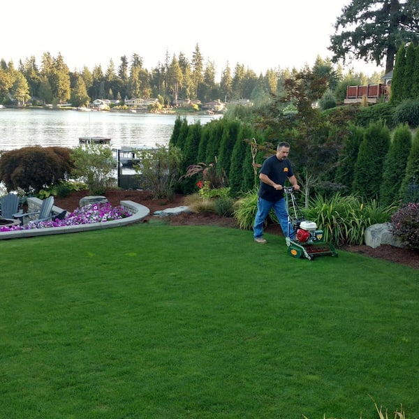 https://images.thdstatic.com/productImages/8b96bcdc-0a7e-4aa8-953c-e28f16b87fe5/svn/california-trimmer-gas-self-propelled-lawn-mowers-rl207h-gx120-31_600.jpg