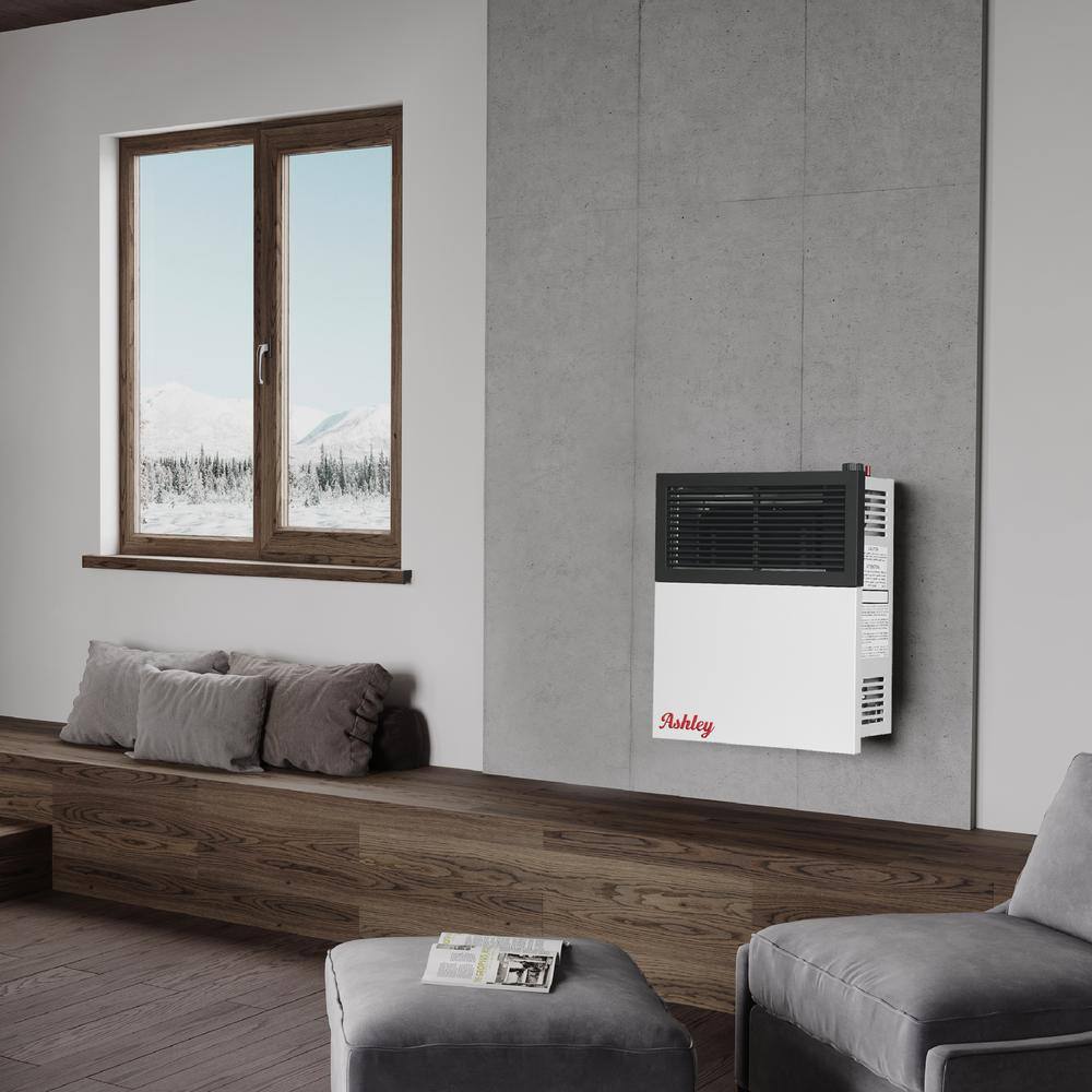 Ashley Dual Fuel Black and Gray Stainless Steel Wall Heater