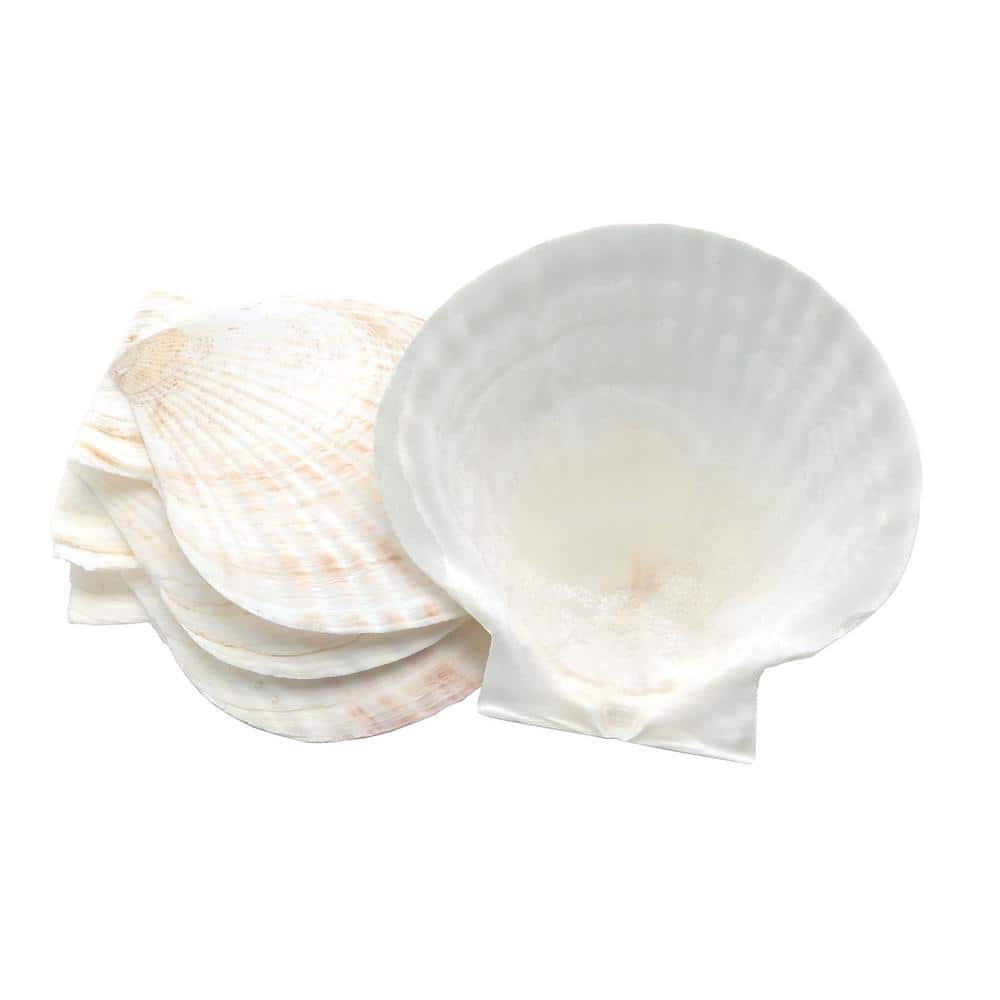 Nantucket Seafood Natural Baking Shells, Set of 4 4770 - The Home