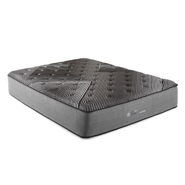 Classic Series Queen Plush Foam and Spring 14 in. Bed-in-a-Box Mattress