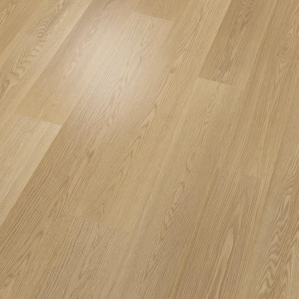 CONPE10_WWW（OAK/YELLOW）WHAT WE WANTコロニスタ CONPE10_WWW（OAK/YELLOW）WHAT WE WANTコロニスタ CONPE10