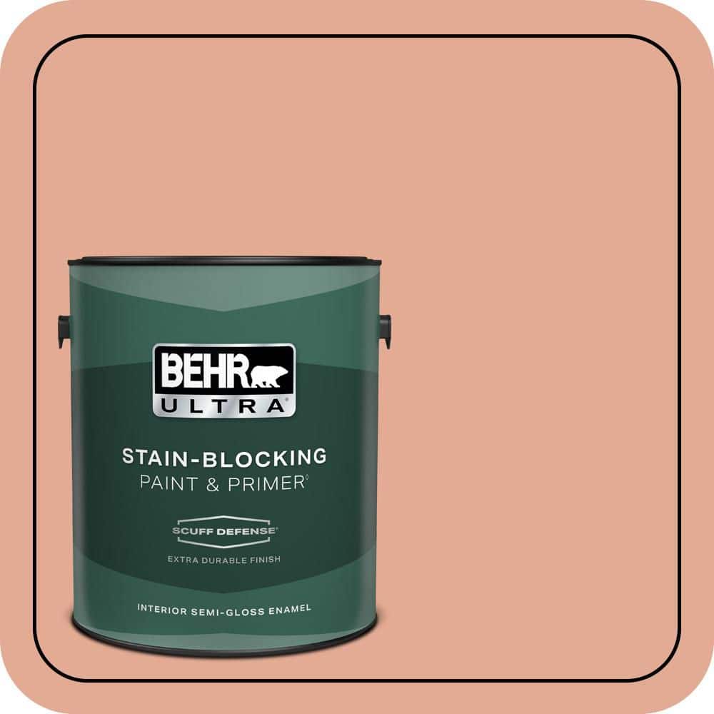 1 gal. #M190-4 California Coral Extra Durable Semi-Gloss Enamel Interior Paint & Primer price history on PriceWatchPro