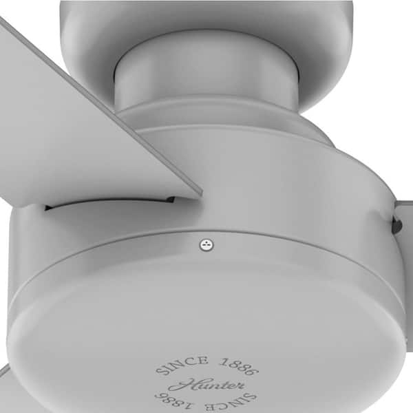 Hunter - Presto 44 in. Indoor Dove Ceiling Fan in Grey with Wall Control Included For Bedrooms