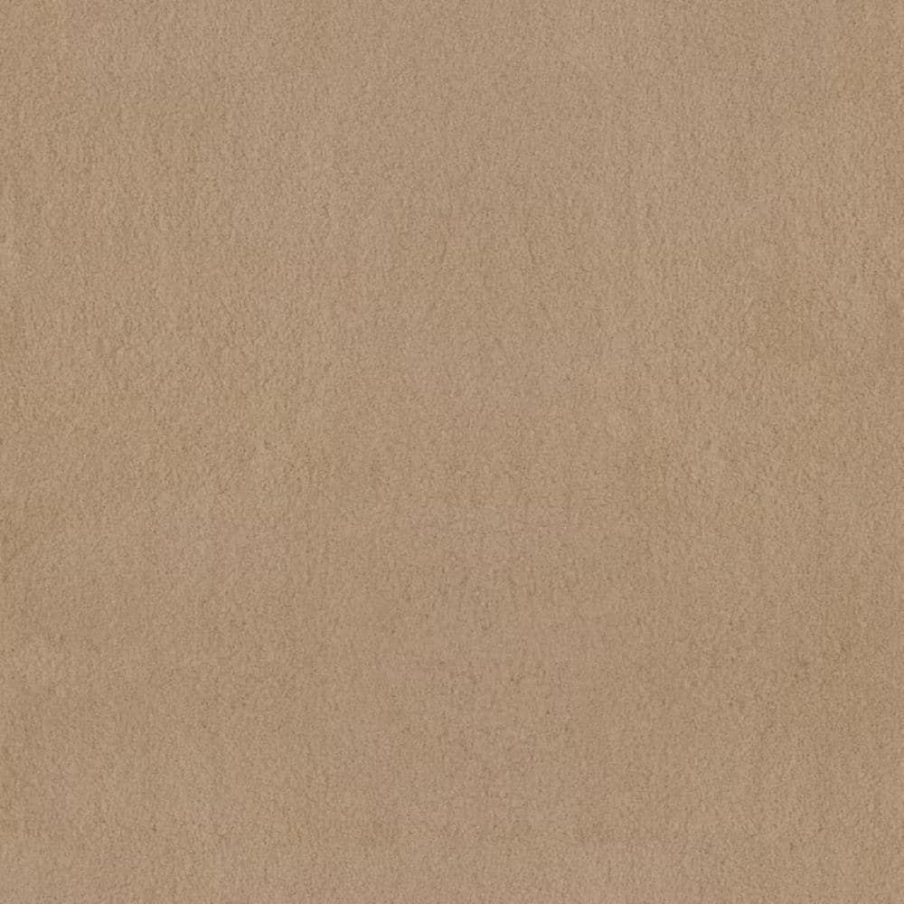 8 in. x 8 in. Texture Carpet Sample-Dreamy Daze I-Color Bamboo price history on PriceWatchPro