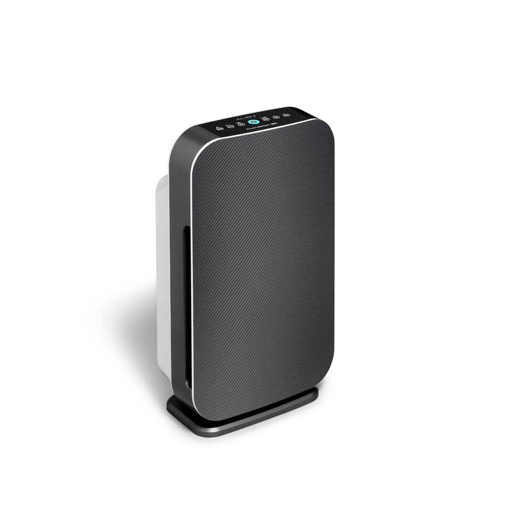 Graphite HEPA Air Purifier with SmartSensor Technology