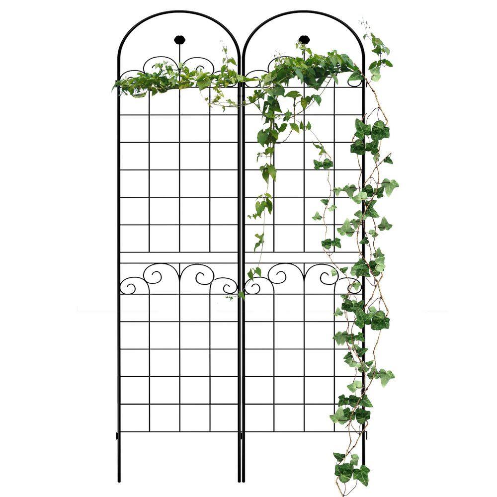 Generic Metal Garden Trellis for Climbing Plants, 19.7"L x 86.7"H for Vines Plant Rose Support Trellis (Black, 2 Pack)