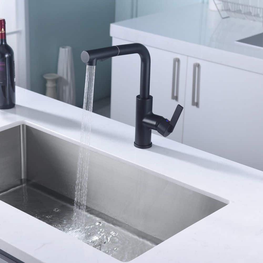 Matte Black Contemporary Pull-Out Kitchen Faucet with Lever Handle