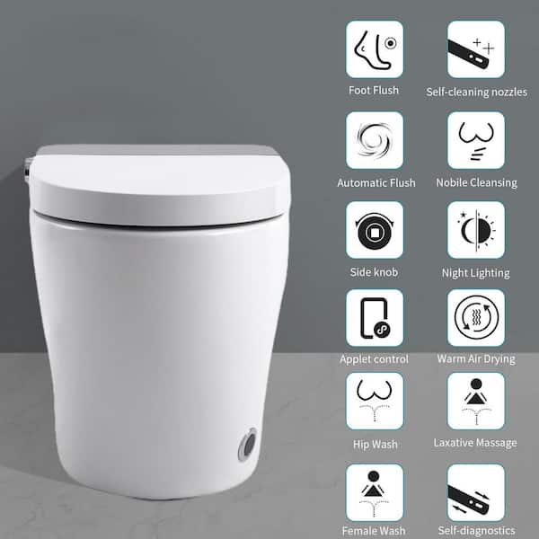 HOMEMYSTIQUE Comfort Height Intelligent 1-Piece Toilet with Auto Features