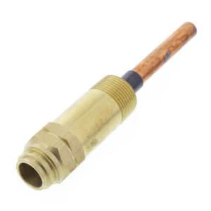 EW-202 3/4 in. NPT Extended Electro-Well with Long Nut for Tankless Coil Boilers