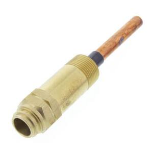 EW-222 1/2 in. NPT Extended Electro-Well with Long Nut for Tankless Coil Boilers