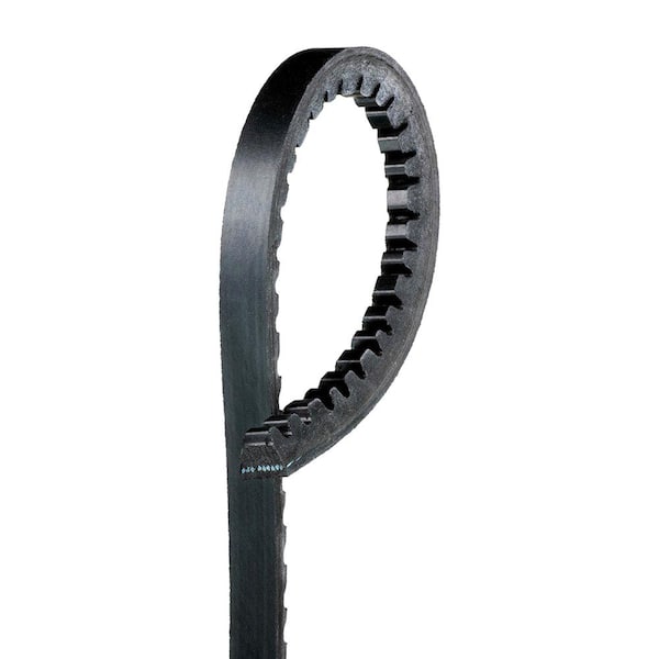 Standard Accessory Drive Belt - Fan To Air Pump
