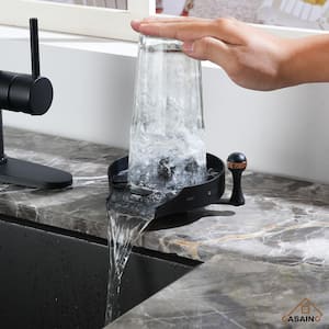 5 in. Kitchen Sink Hot and Cold Glass Rinser in Matte Black