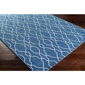 12 X 15 - Outdoor Rugs - Rugs - The Home Depot