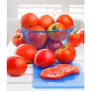 2.32 qt. Celebrity Tomato Plant